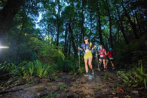 BIB: 
                            <button type="button" onclick="openModal(19235305)" class="btn btn-primary btn-sm float-right btn-popup" data-toggle="modal" data-target=".modal-high-quality">
                        <i class="fas fa-shopping-cart"></i> Add to Cart
                    </button>
                                            <button type="button" onclick="isThisMe(19235305, true)" class="btn btn-success btn-sm float-right btn-popup btn-isme hidden" data-toggle="tooltip" data-placement="bottom" title="นี่คือรูปของคุณใช่ไหม คลิกที่นี่เพื่อเอาเข้าอัลบั้ม">
                        <i class="fas fa-plus"></i> Add to album
                    </button>
                    <button type="button" onclick="isThisMe(19235305, false)" class="btn btn-warning btn-sm float-right btn-popup btn-isnotme hidden">
                        <i class="fas fa-ban"></i> Remove from album
                    </button>